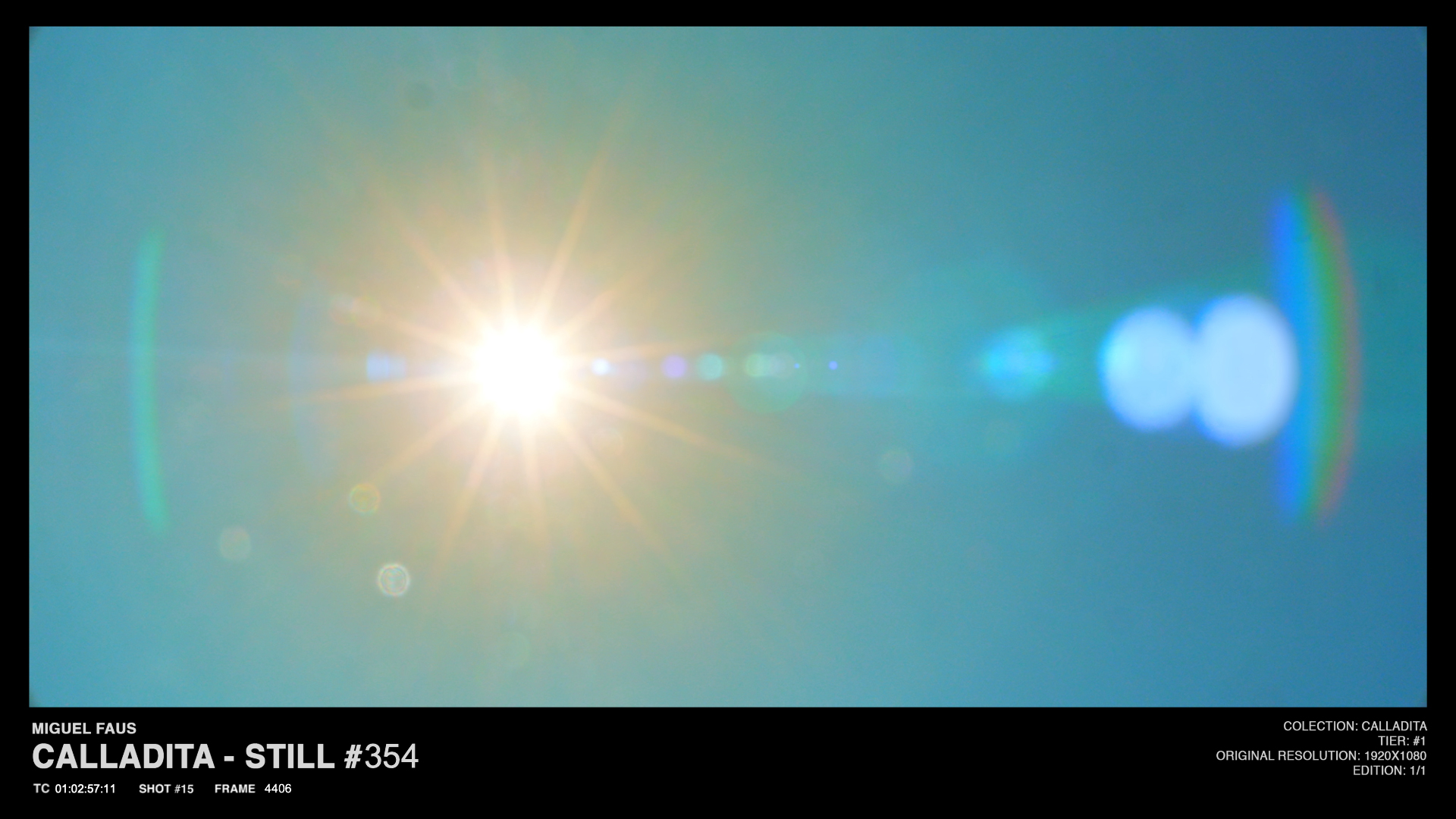 Calladita Tier 1 – Still #354
