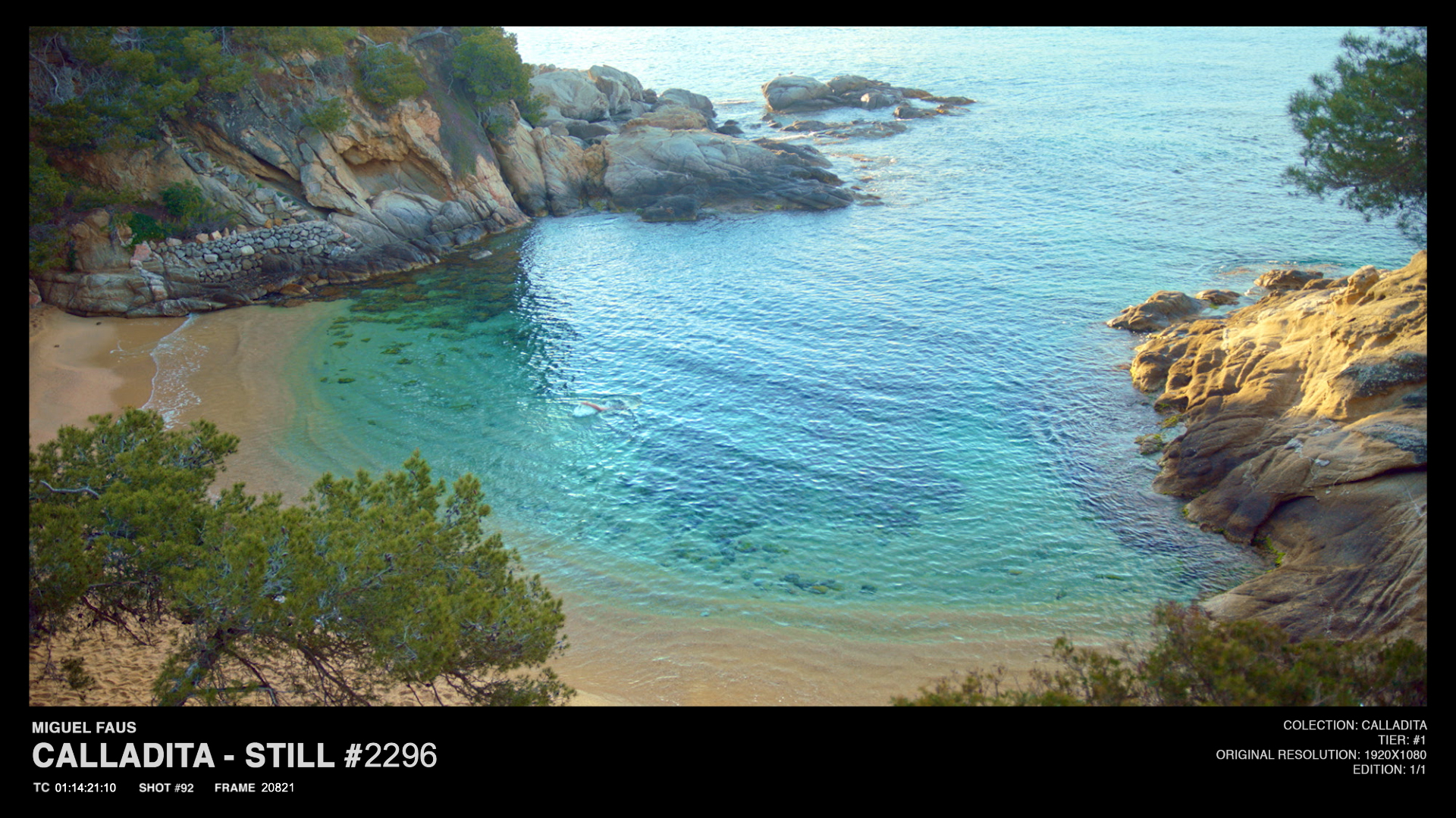 Calladita Tier 1 – Still #2296